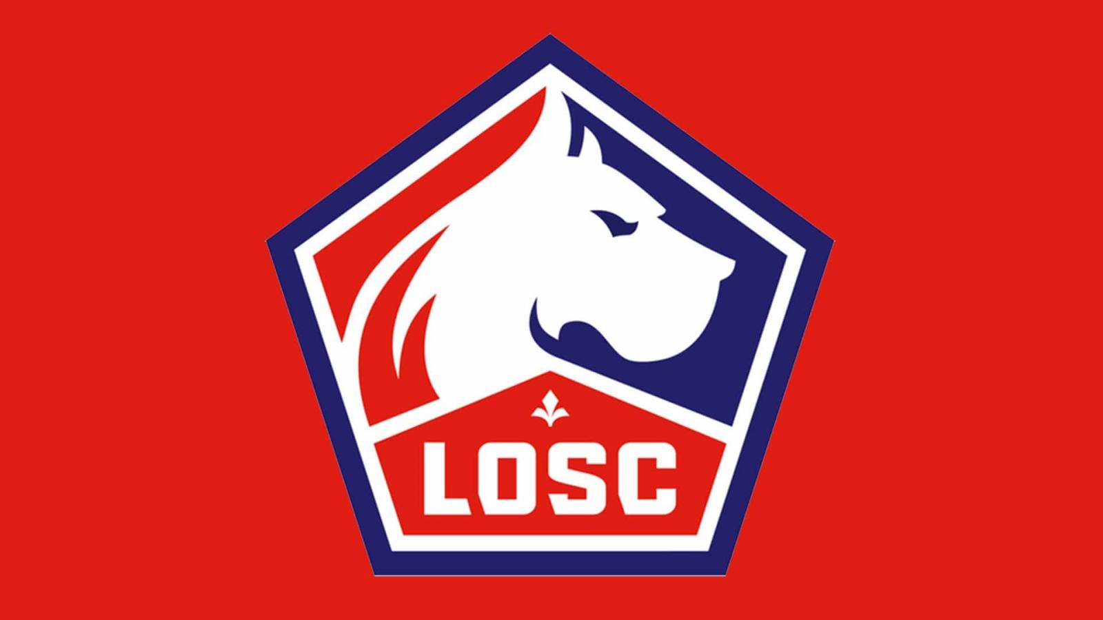 Cours de boxe pour adultes en loisirs et compétiteurs Lille Flandres