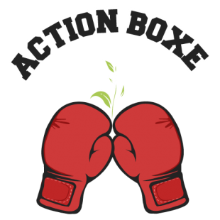 Association sportive - Hem / Lille - Action Boxe